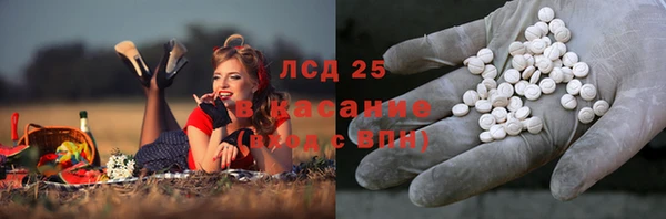 трава Аркадак