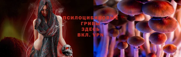 ГАЛЛЮЦИНОГЕННЫЕ ГРИБЫ Надым
